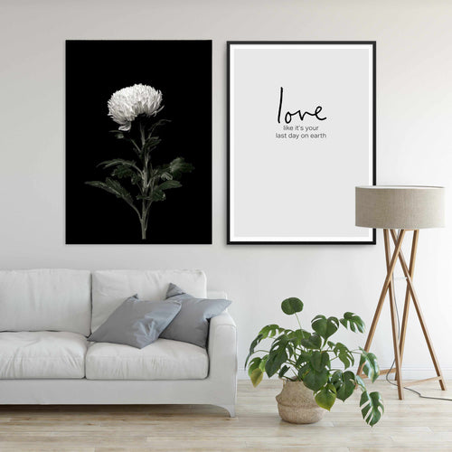 The White Flower | PT Art Print-PRINT-Olive et Oriel-Olive et Oriel-Buy-Australian-Art-Prints-Online-with-Olive-et-Oriel-Your-Artwork-Specialists-Austrailia-Decorate-With-Coastal-Photo-Wall-Art-Prints-From-Our-Beach-House-Artwork-Collection-Fine-Poster-and-Framed-Artwork
