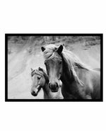 The Wild Ones Art Print-PRINT-Olive et Oriel-Olive et Oriel-A5 | 5.8" x 8.3" | 14.8 x 21cm-Black-With White Border-Buy-Australian-Art-Prints-Online-with-Olive-et-Oriel-Your-Artwork-Specialists-Austrailia-Decorate-With-Coastal-Photo-Wall-Art-Prints-From-Our-Beach-House-Artwork-Collection-Fine-Poster-and-Framed-Artwork