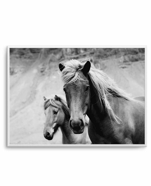 The Wild Ones Art Print-PRINT-Olive et Oriel-Olive et Oriel-A5 | 5.8" x 8.3" | 14.8 x 21cm-Unframed Art Print-With White Border-Buy-Australian-Art-Prints-Online-with-Olive-et-Oriel-Your-Artwork-Specialists-Austrailia-Decorate-With-Coastal-Photo-Wall-Art-Prints-From-Our-Beach-House-Artwork-Collection-Fine-Poster-and-Framed-Artwork