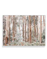 Through the Gum Trees | Framed Canvas-CANVAS-You can shop wall art online with Olive et Oriel for everything from abstract art to fun kids wall art. Our beautiful modern art prints and canvas art are available from large canvas prints to wall art paintings and our proudly Australian artwork collection offers only the highest quality framed large wall art and canvas art Australia - You can buy fashion photography prints or Hampton print posters and paintings on canvas from Olive et Oriel and have
