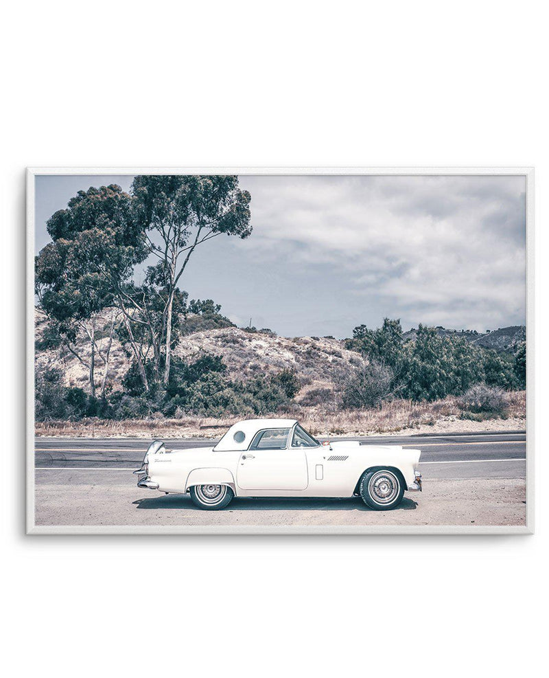 Thunderbird Art Print-PRINT-Olive et Oriel-Olive et Oriel-A5 | 5.8" x 8.3" | 14.8 x 21cm-Unframed Art Print-With White Border-Buy-Australian-Art-Prints-Online-with-Olive-et-Oriel-Your-Artwork-Specialists-Austrailia-Decorate-With-Coastal-Photo-Wall-Art-Prints-From-Our-Beach-House-Artwork-Collection-Fine-Poster-and-Framed-Artwork