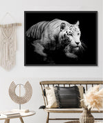 Tigre De Nuit | LS Art Print-PRINT-Olive et Oriel-Olive et Oriel-Buy-Australian-Art-Prints-Online-with-Olive-et-Oriel-Your-Artwork-Specialists-Austrailia-Decorate-With-Coastal-Photo-Wall-Art-Prints-From-Our-Beach-House-Artwork-Collection-Fine-Poster-and-Framed-Artwork