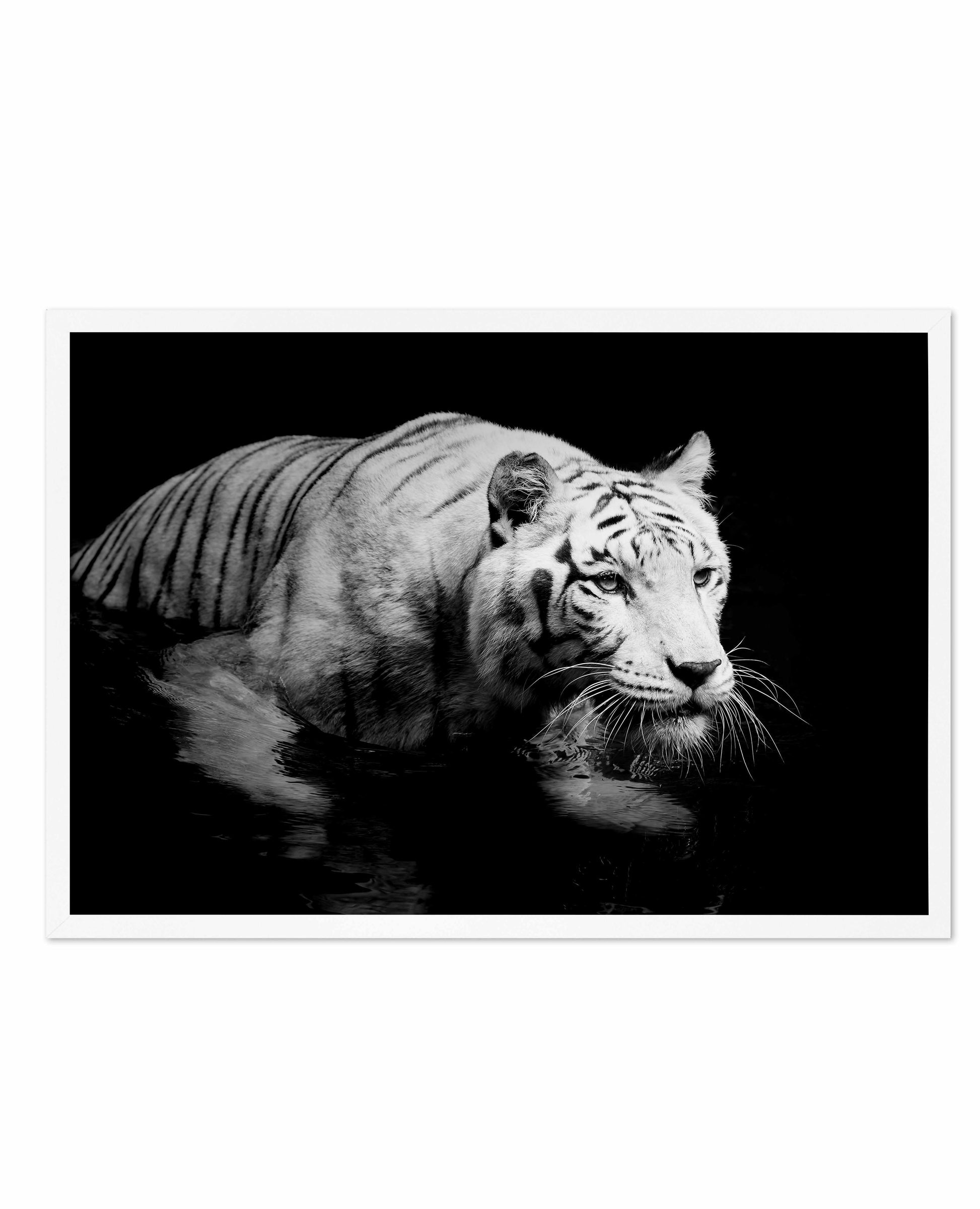 Tigre De Nuit | LS Art Print-PRINT-Olive et Oriel-Olive et Oriel-A5 | 5.8" x 8.3" | 14.8 x 21cm-White-With White Border-Buy-Australian-Art-Prints-Online-with-Olive-et-Oriel-Your-Artwork-Specialists-Austrailia-Decorate-With-Coastal-Photo-Wall-Art-Prints-From-Our-Beach-House-Artwork-Collection-Fine-Poster-and-Framed-Artwork