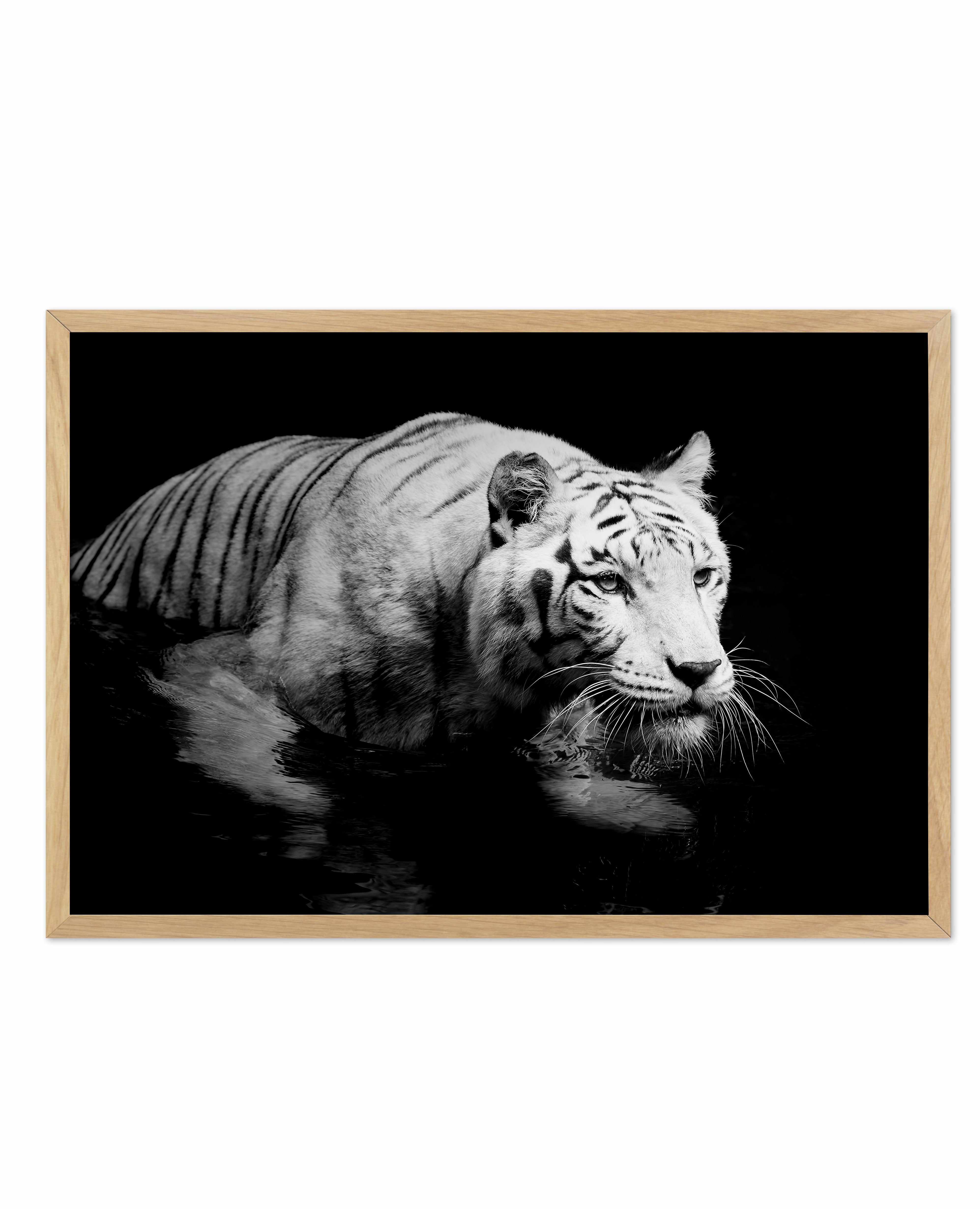 Tigre De Nuit | LS Art Print-PRINT-Olive et Oriel-Olive et Oriel-A5 | 5.8" x 8.3" | 14.8 x 21cm-Oak-With White Border-Buy-Australian-Art-Prints-Online-with-Olive-et-Oriel-Your-Artwork-Specialists-Austrailia-Decorate-With-Coastal-Photo-Wall-Art-Prints-From-Our-Beach-House-Artwork-Collection-Fine-Poster-and-Framed-Artwork