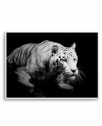 Tigre De Nuit | LS Art Print-PRINT-Olive et Oriel-Olive et Oriel-A5 | 5.8" x 8.3" | 14.8 x 21cm-Unframed Art Print-With White Border-Buy-Australian-Art-Prints-Online-with-Olive-et-Oriel-Your-Artwork-Specialists-Austrailia-Decorate-With-Coastal-Photo-Wall-Art-Prints-From-Our-Beach-House-Artwork-Collection-Fine-Poster-and-Framed-Artwork