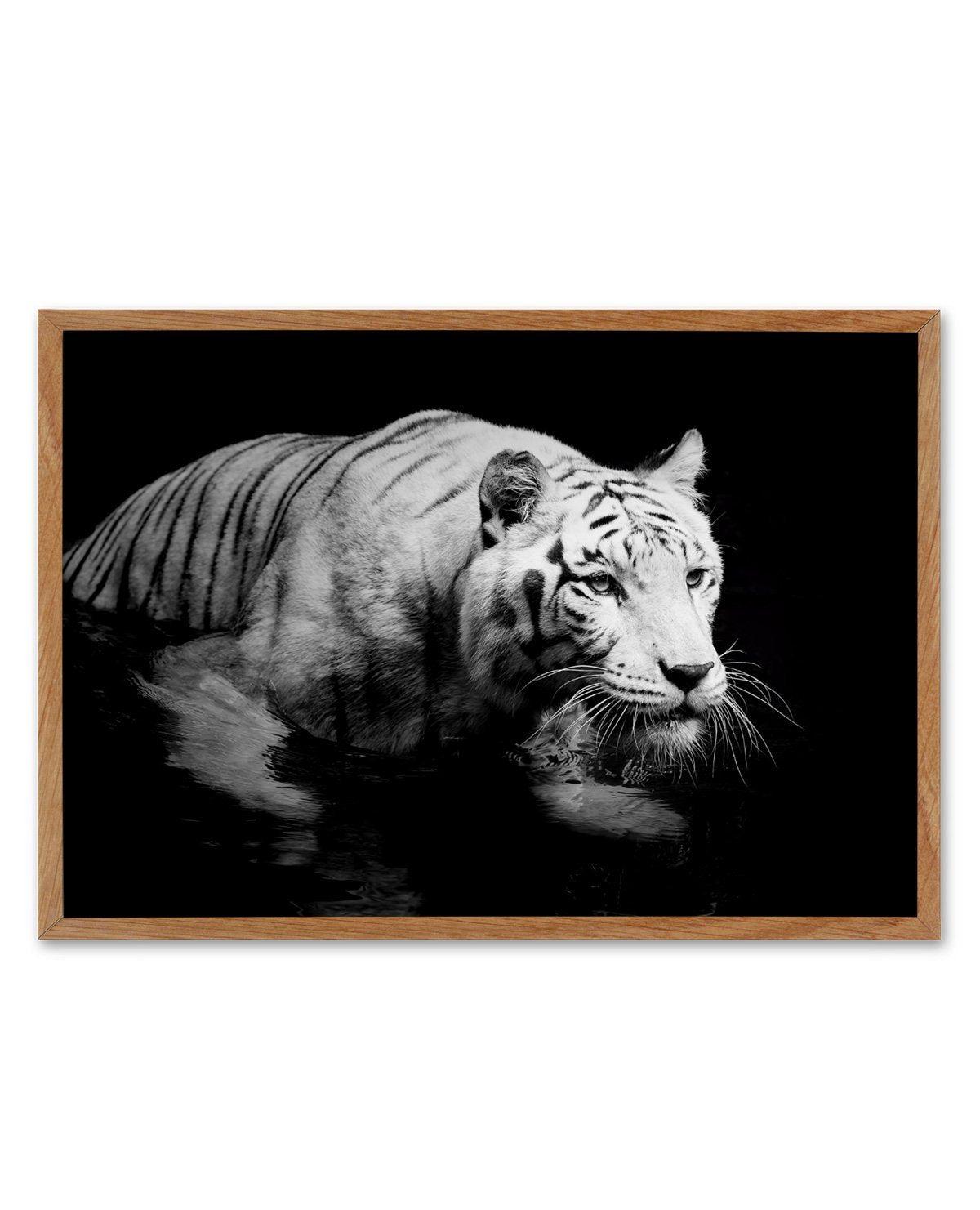 Tigre De Nuit | LS Art Print-PRINT-Olive et Oriel-Olive et Oriel-50x70 cm | 19.6" x 27.5"-Walnut-With White Border-Buy-Australian-Art-Prints-Online-with-Olive-et-Oriel-Your-Artwork-Specialists-Austrailia-Decorate-With-Coastal-Photo-Wall-Art-Prints-From-Our-Beach-House-Artwork-Collection-Fine-Poster-and-Framed-Artwork