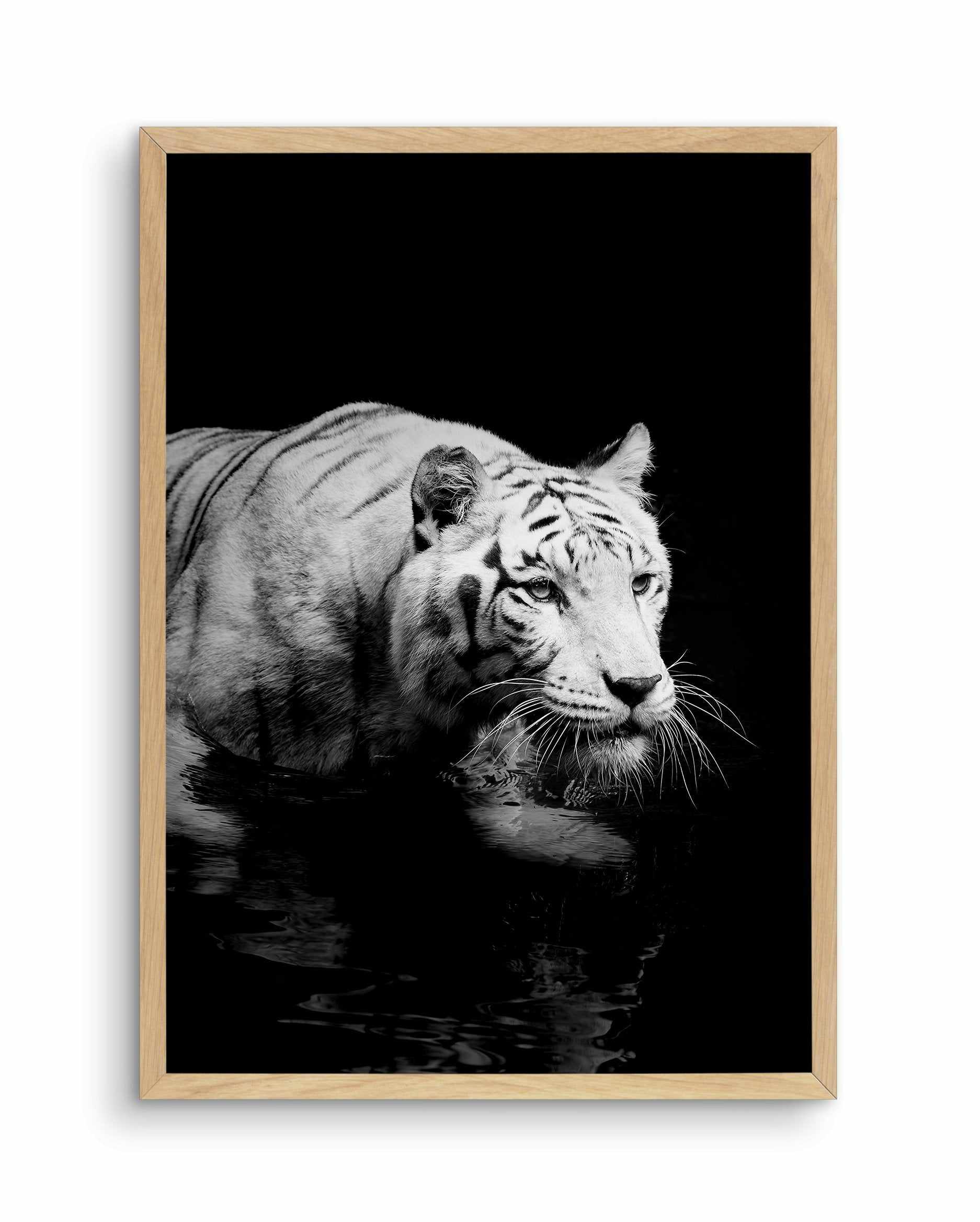 Tigre De Nuit | PT Art Print-PRINT-Olive et Oriel-Olive et Oriel-A5 | 5.8" x 8.3" | 14.8 x 21cm-Oak-With White Border-Buy-Australian-Art-Prints-Online-with-Olive-et-Oriel-Your-Artwork-Specialists-Austrailia-Decorate-With-Coastal-Photo-Wall-Art-Prints-From-Our-Beach-House-Artwork-Collection-Fine-Poster-and-Framed-Artwork