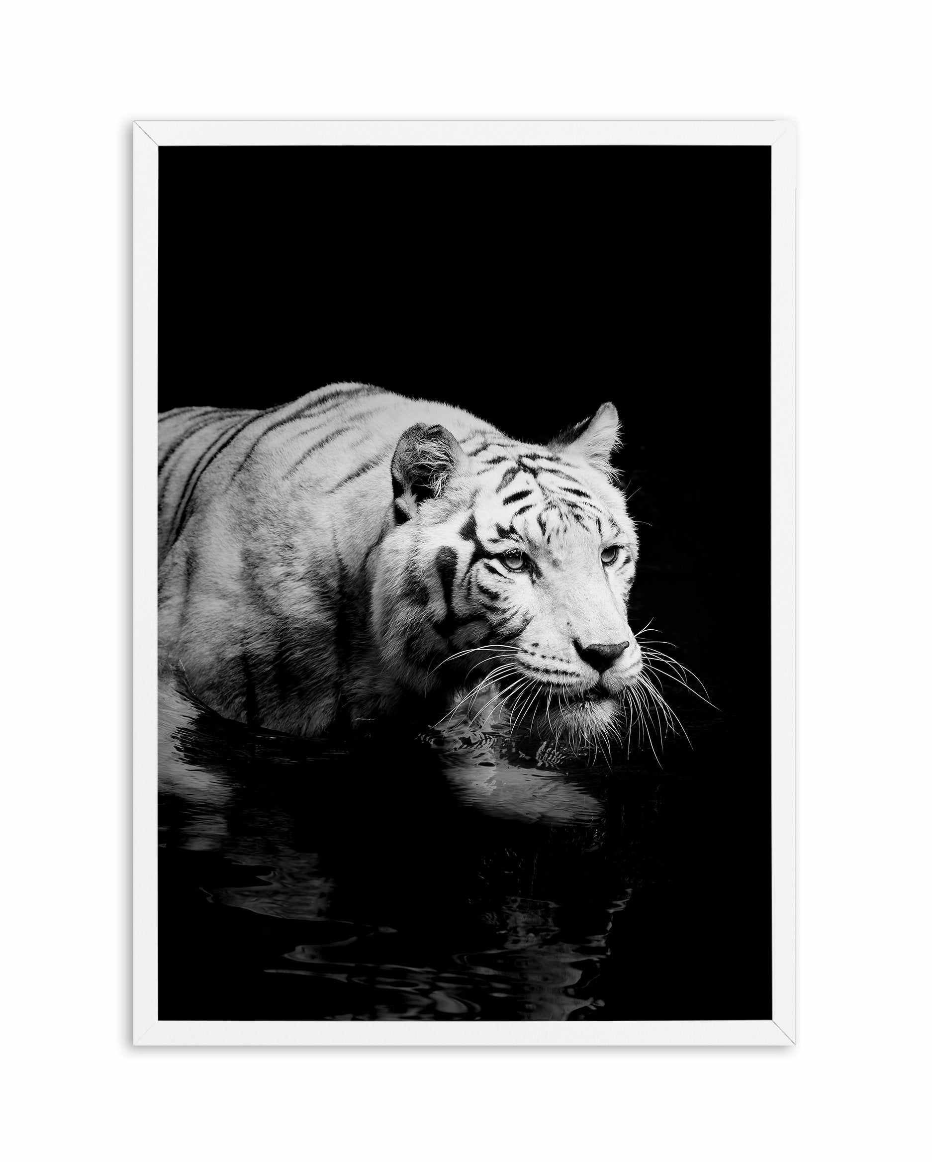 Tigre De Nuit | PT Art Print-PRINT-Olive et Oriel-Olive et Oriel-A5 | 5.8" x 8.3" | 14.8 x 21cm-White-With White Border-Buy-Australian-Art-Prints-Online-with-Olive-et-Oriel-Your-Artwork-Specialists-Austrailia-Decorate-With-Coastal-Photo-Wall-Art-Prints-From-Our-Beach-House-Artwork-Collection-Fine-Poster-and-Framed-Artwork