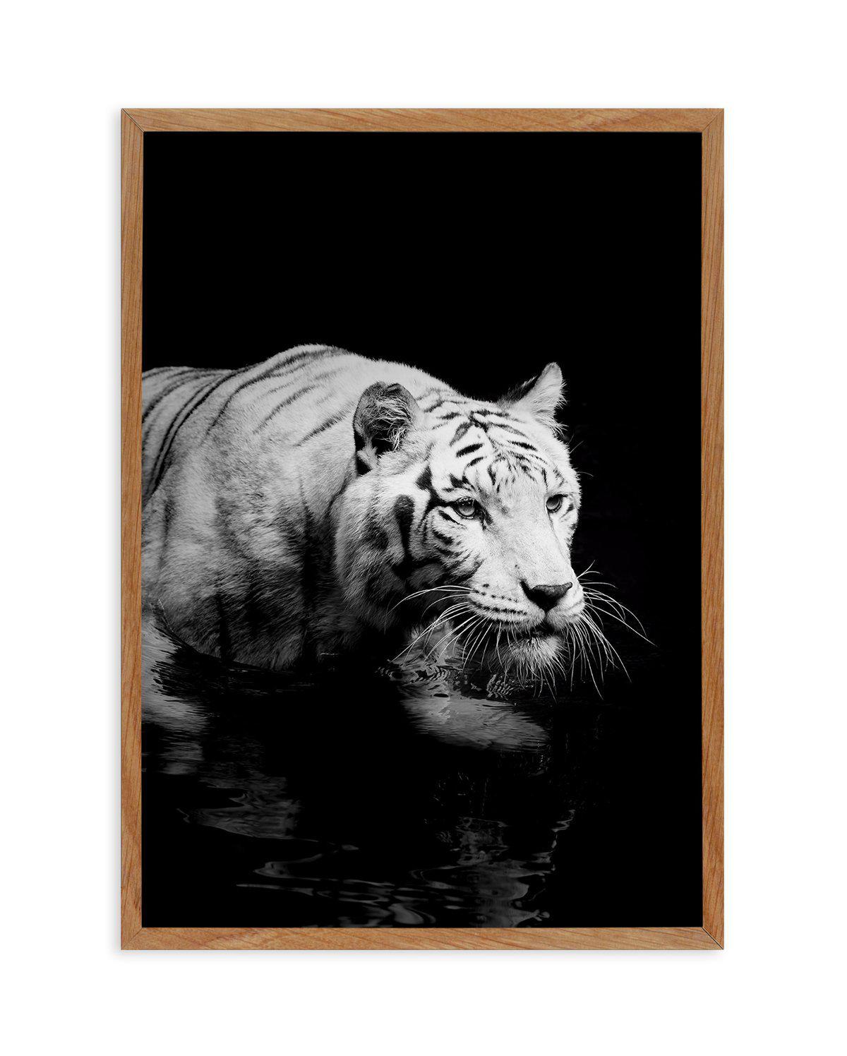 Tigre De Nuit | PT Art Print-PRINT-Olive et Oriel-Olive et Oriel-50x70 cm | 19.6" x 27.5"-Walnut-With White Border-Buy-Australian-Art-Prints-Online-with-Olive-et-Oriel-Your-Artwork-Specialists-Austrailia-Decorate-With-Coastal-Photo-Wall-Art-Prints-From-Our-Beach-House-Artwork-Collection-Fine-Poster-and-Framed-Artwork