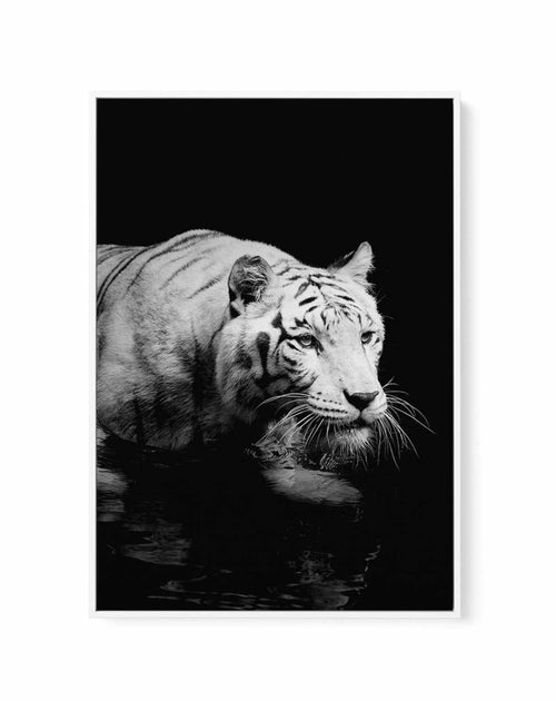 Tigre De Nuit | PT | Framed Canvas-CANVAS-You can shop wall art online with Olive et Oriel for everything from abstract art to fun kids wall art. Our beautiful modern art prints and canvas art are available from large canvas prints to wall art paintings and our proudly Australian artwork collection offers only the highest quality framed large wall art and canvas art Australia - You can buy fashion photography prints or Hampton print posters and paintings on canvas from Olive et Oriel and have th