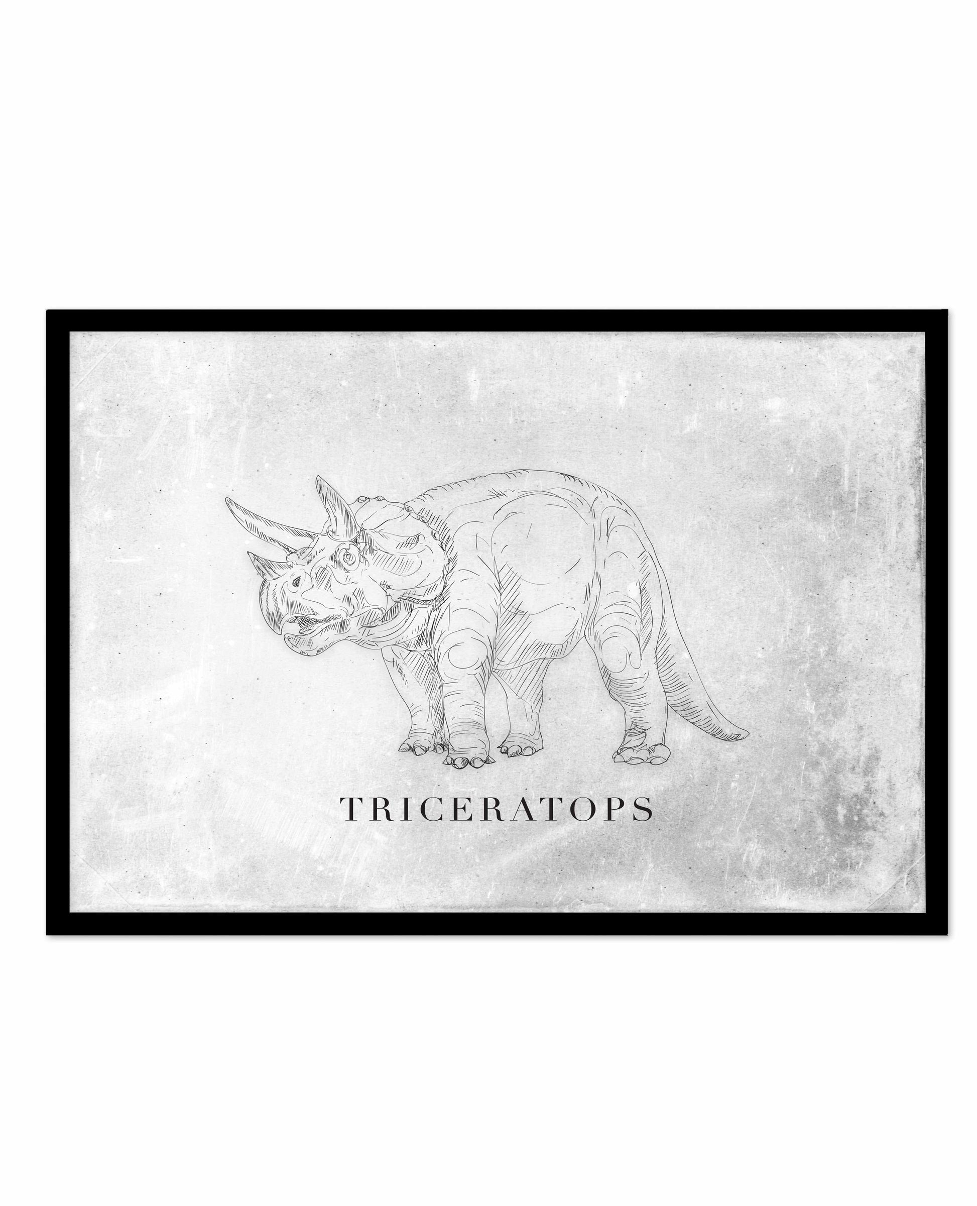 Triceratops LS | Dinosaur Collection Art Print-PRINT-Olive et Oriel-Olive et Oriel-A5 | 5.8" x 8.3" | 14.8 x 21cm-Black-With White Border-Buy-Australian-Art-Prints-Online-with-Olive-et-Oriel-Your-Artwork-Specialists-Austrailia-Decorate-With-Coastal-Photo-Wall-Art-Prints-From-Our-Beach-House-Artwork-Collection-Fine-Poster-and-Framed-Artwork