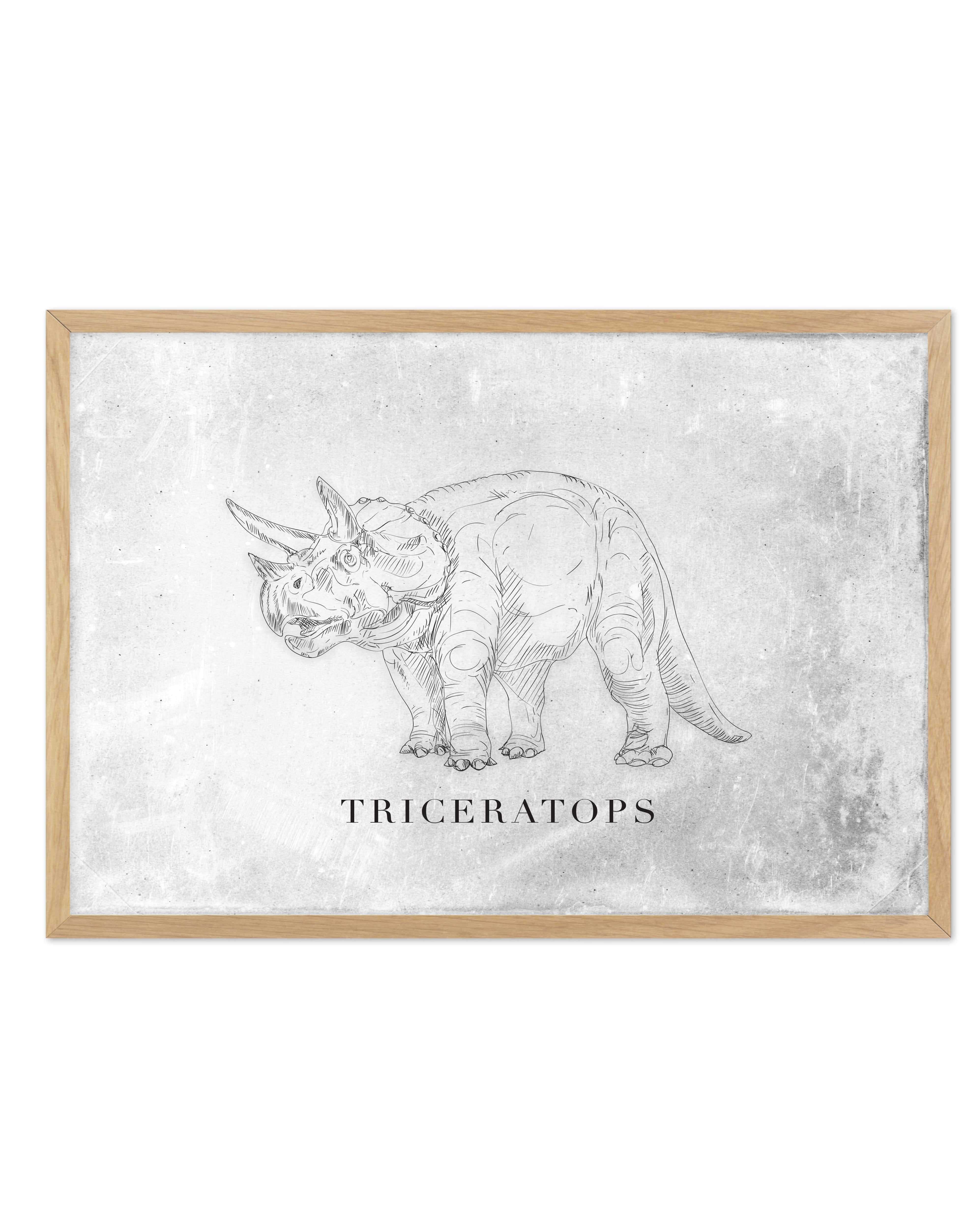 Triceratops LS | Dinosaur Collection Art Print-PRINT-Olive et Oriel-Olive et Oriel-A5 | 5.8" x 8.3" | 14.8 x 21cm-Oak-With White Border-Buy-Australian-Art-Prints-Online-with-Olive-et-Oriel-Your-Artwork-Specialists-Austrailia-Decorate-With-Coastal-Photo-Wall-Art-Prints-From-Our-Beach-House-Artwork-Collection-Fine-Poster-and-Framed-Artwork