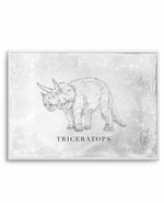 Triceratops LS | Dinosaur Collection Art Print-PRINT-Olive et Oriel-Olive et Oriel-A5 | 5.8" x 8.3" | 14.8 x 21cm-Unframed Art Print-With White Border-Buy-Australian-Art-Prints-Online-with-Olive-et-Oriel-Your-Artwork-Specialists-Austrailia-Decorate-With-Coastal-Photo-Wall-Art-Prints-From-Our-Beach-House-Artwork-Collection-Fine-Poster-and-Framed-Artwork