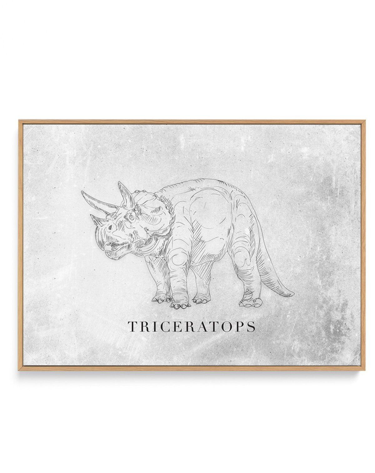 Triceratops LS | Dinosaur Collection | Framed Canvas-CANVAS-You can shop wall art online with Olive et Oriel for everything from abstract art to fun kids wall art. Our beautiful modern art prints and canvas art are available from large canvas prints to wall art paintings and our proudly Australian artwork collection offers only the highest quality framed large wall art and canvas art Australia - You can buy fashion photography prints or Hampton print posters and paintings on canvas from Olive et