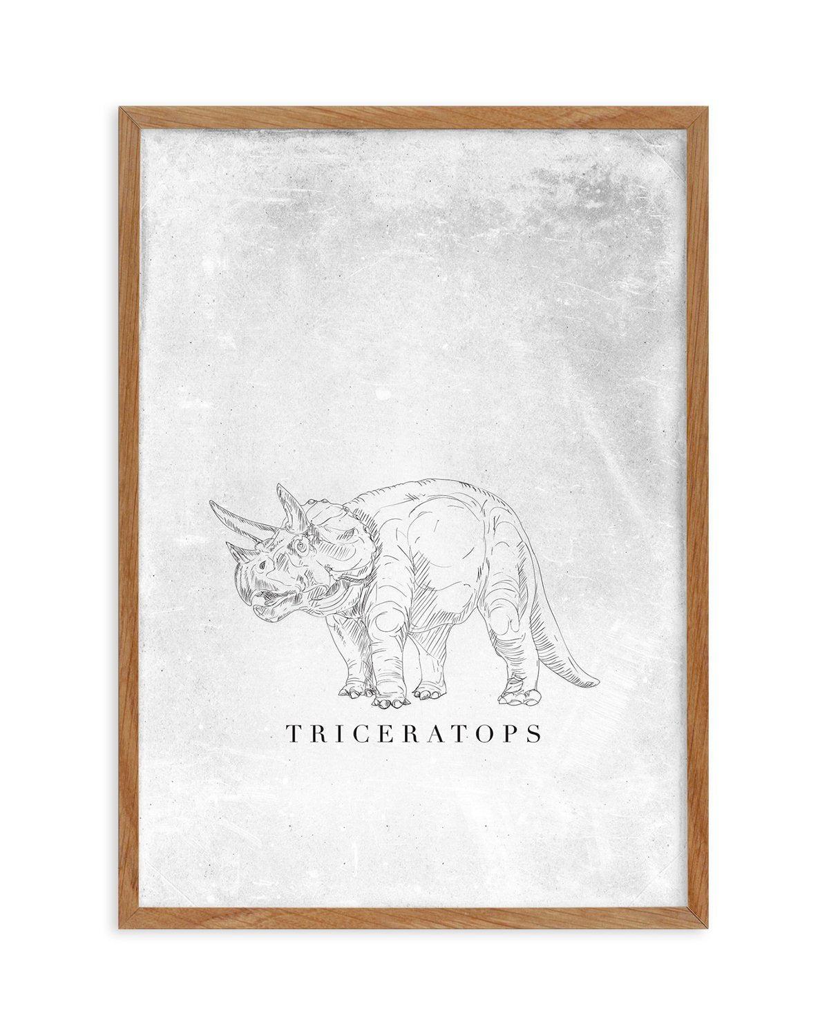 Triceratops PT | Dinosaur Collection Art Print-PRINT-Olive et Oriel-Olive et Oriel-50x70 cm | 19.6" x 27.5"-Walnut-With White Border-Buy-Australian-Art-Prints-Online-with-Olive-et-Oriel-Your-Artwork-Specialists-Austrailia-Decorate-With-Coastal-Photo-Wall-Art-Prints-From-Our-Beach-House-Artwork-Collection-Fine-Poster-and-Framed-Artwork