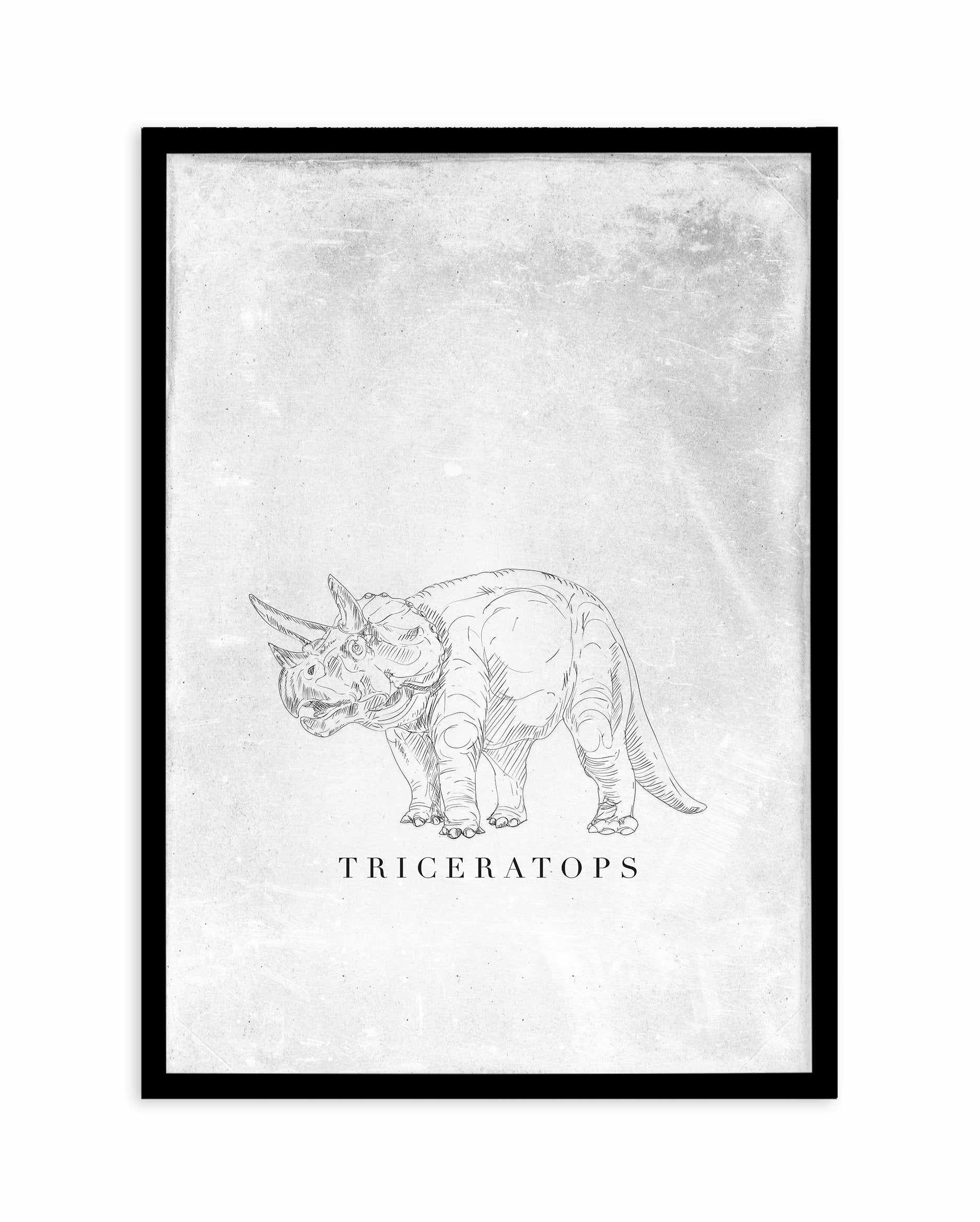 Triceratops PT | Dinosaur Collection Art Print-PRINT-Olive et Oriel-Olive et Oriel-A5 | 5.8" x 8.3" | 14.8 x 21cm-Black-With White Border-Buy-Australian-Art-Prints-Online-with-Olive-et-Oriel-Your-Artwork-Specialists-Austrailia-Decorate-With-Coastal-Photo-Wall-Art-Prints-From-Our-Beach-House-Artwork-Collection-Fine-Poster-and-Framed-Artwork