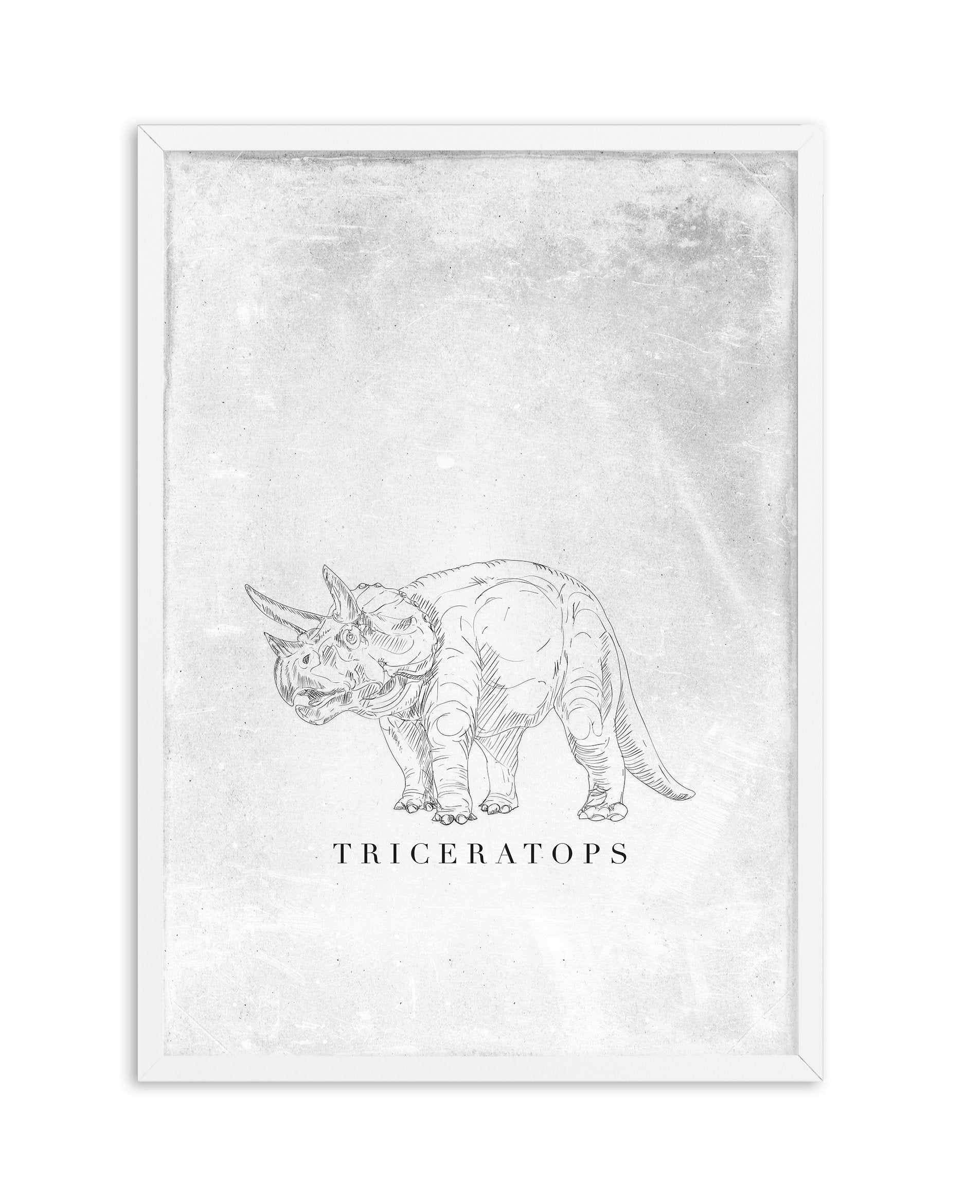 Triceratops PT | Dinosaur Collection Art Print-PRINT-Olive et Oriel-Olive et Oriel-A5 | 5.8" x 8.3" | 14.8 x 21cm-White-With White Border-Buy-Australian-Art-Prints-Online-with-Olive-et-Oriel-Your-Artwork-Specialists-Austrailia-Decorate-With-Coastal-Photo-Wall-Art-Prints-From-Our-Beach-House-Artwork-Collection-Fine-Poster-and-Framed-Artwork