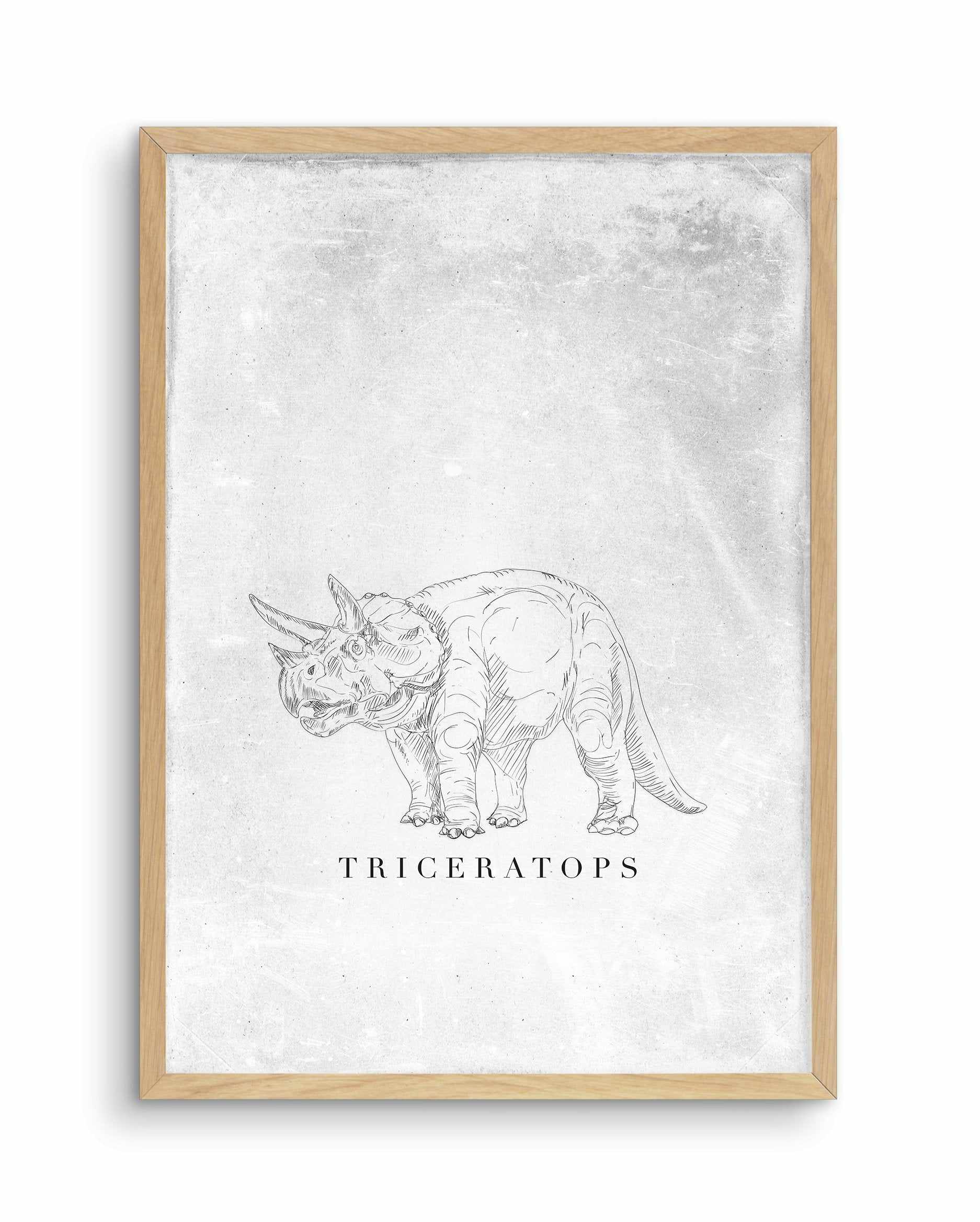 Triceratops PT | Dinosaur Collection Art Print-PRINT-Olive et Oriel-Olive et Oriel-A5 | 5.8" x 8.3" | 14.8 x 21cm-Oak-With White Border-Buy-Australian-Art-Prints-Online-with-Olive-et-Oriel-Your-Artwork-Specialists-Austrailia-Decorate-With-Coastal-Photo-Wall-Art-Prints-From-Our-Beach-House-Artwork-Collection-Fine-Poster-and-Framed-Artwork