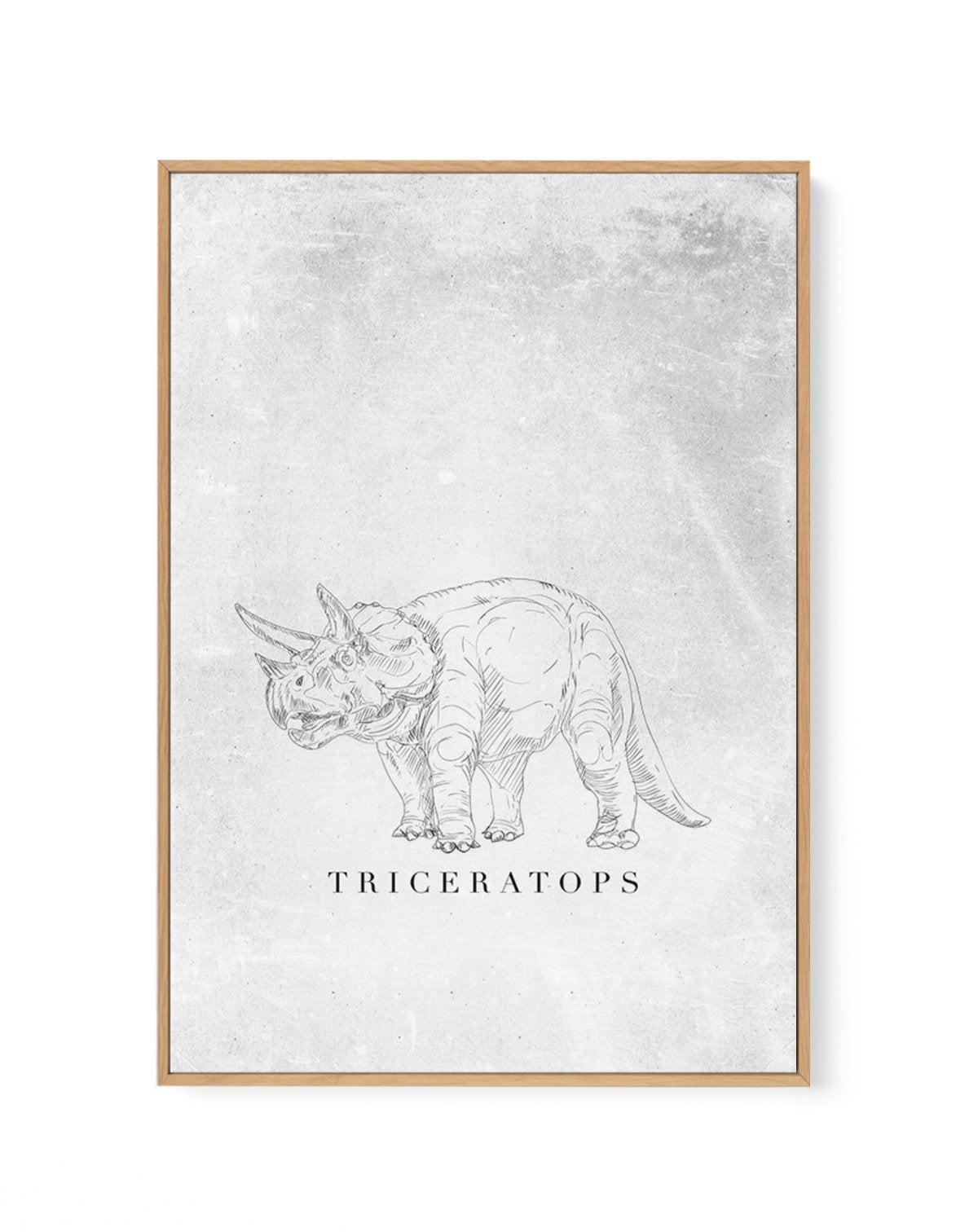 Triceratops PT | Dinosaur Collection | Framed Canvas-CANVAS-You can shop wall art online with Olive et Oriel for everything from abstract art to fun kids wall art. Our beautiful modern art prints and canvas art are available from large canvas prints to wall art paintings and our proudly Australian artwork collection offers only the highest quality framed large wall art and canvas art Australia - You can buy fashion photography prints or Hampton print posters and paintings on canvas from Olive et