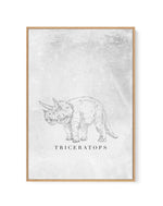 Triceratops PT | Dinosaur Collection | Framed Canvas-CANVAS-You can shop wall art online with Olive et Oriel for everything from abstract art to fun kids wall art. Our beautiful modern art prints and canvas art are available from large canvas prints to wall art paintings and our proudly Australian artwork collection offers only the highest quality framed large wall art and canvas art Australia - You can buy fashion photography prints or Hampton print posters and paintings on canvas from Olive et