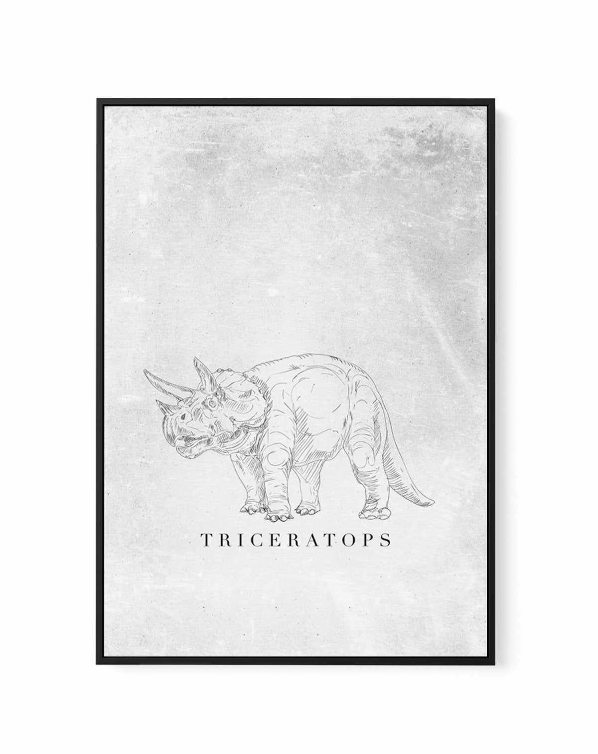 Triceratops PT | Dinosaur Collection | Framed Canvas-CANVAS-You can shop wall art online with Olive et Oriel for everything from abstract art to fun kids wall art. Our beautiful modern art prints and canvas art are available from large canvas prints to wall art paintings and our proudly Australian artwork collection offers only the highest quality framed large wall art and canvas art Australia - You can buy fashion photography prints or Hampton print posters and paintings on canvas from Olive et