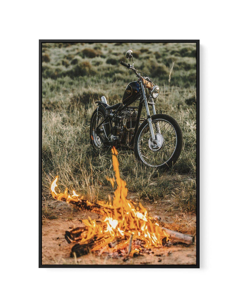 Triumph By Tim Harris | Framed Canvas-CANVAS-You can shop wall art online with Olive et Oriel for everything from abstract art to fun kids wall art. Our beautiful modern art prints and canvas art are available from large canvas prints to wall art paintings and our proudly Australian artwork collection offers only the highest quality framed large wall art and canvas art Australia - You can buy fashion photography prints or Hampton print posters and paintings on canvas from Olive et Oriel and have