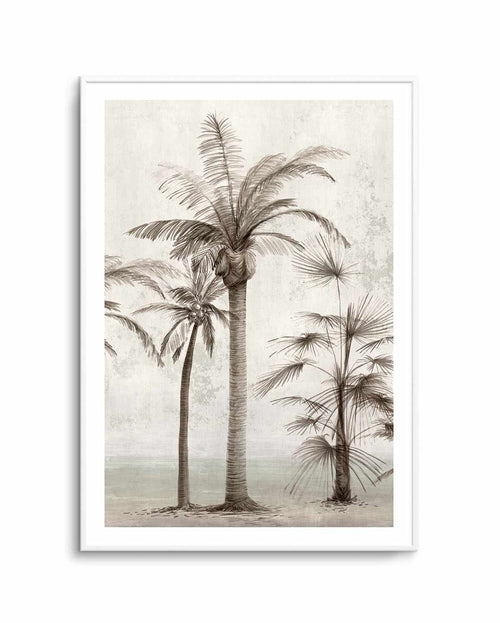 Tropic Palm I Art Print-PRINT-Olive et Oriel-PI Creative-Buy-Australian-Art-Prints-Online-with-Olive-et-Oriel-Your-Artwork-Specialists-Austrailia-Decorate-With-Coastal-Photo-Wall-Art-Prints-From-Our-Beach-House-Artwork-Collection-Fine-Poster-and-Framed-Artwork