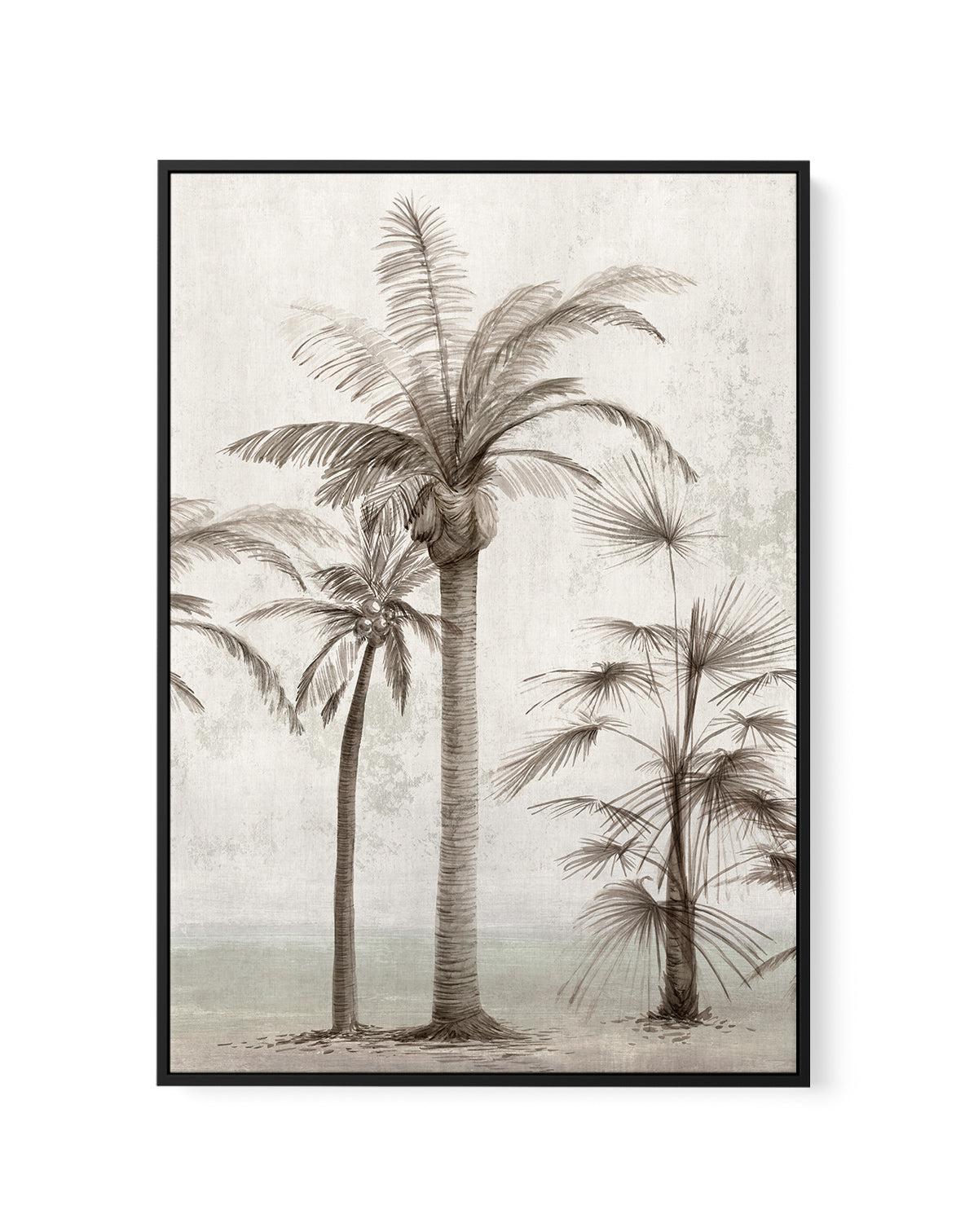 Tropic Palm I | Framed Canvas-CANVAS-You can shop wall art online with Olive et Oriel for everything from abstract art to fun kids wall art. Our beautiful modern art prints and canvas art are available from large canvas prints to wall art paintings and our proudly Australian artwork collection offers only the highest quality framed large wall art and canvas art Australia - You can buy fashion photography prints or Hampton print posters and paintings on canvas from Olive et Oriel and have them de