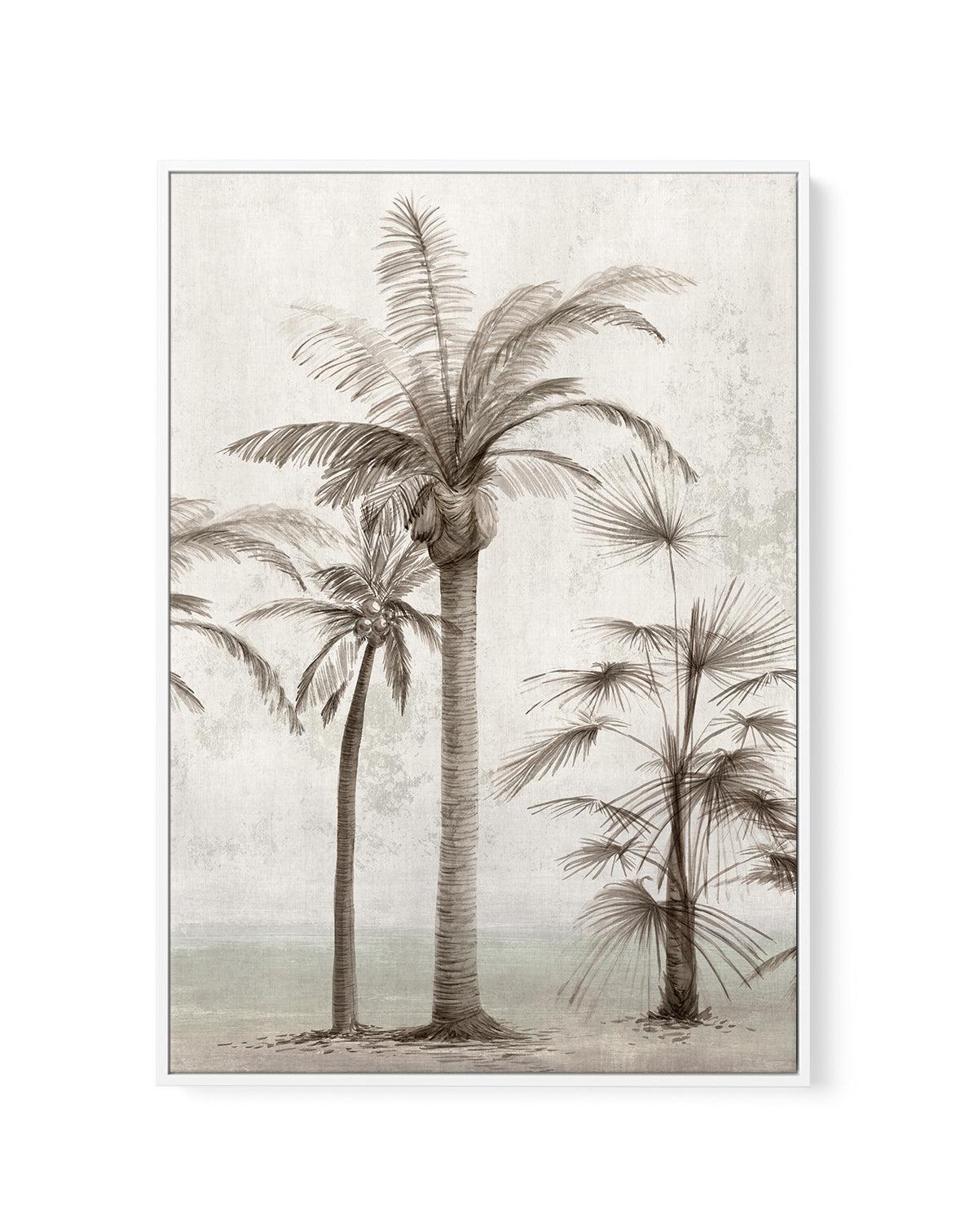 Tropic Palm I | Framed Canvas-CANVAS-You can shop wall art online with Olive et Oriel for everything from abstract art to fun kids wall art. Our beautiful modern art prints and canvas art are available from large canvas prints to wall art paintings and our proudly Australian artwork collection offers only the highest quality framed large wall art and canvas art Australia - You can buy fashion photography prints or Hampton print posters and paintings on canvas from Olive et Oriel and have them de