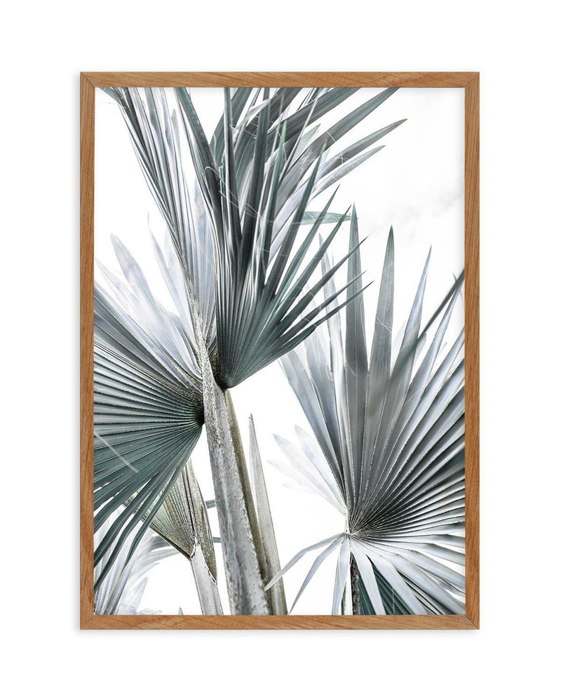 Tropical Palm II Art Print-PRINT-Olive et Oriel-Olive et Oriel-50x70 cm | 19.6" x 27.5"-Walnut-With White Border-Buy-Australian-Art-Prints-Online-with-Olive-et-Oriel-Your-Artwork-Specialists-Austrailia-Decorate-With-Coastal-Photo-Wall-Art-Prints-From-Our-Beach-House-Artwork-Collection-Fine-Poster-and-Framed-Artwork