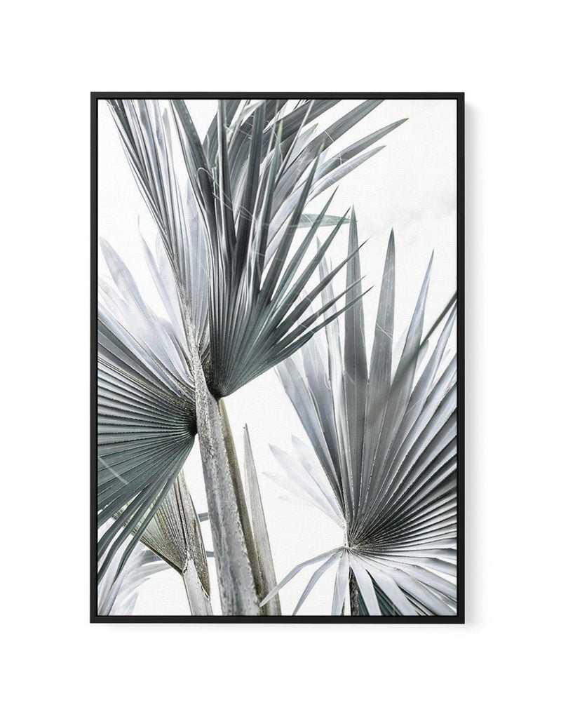 Tropical Palm II | Framed Canvas-CANVAS-You can shop wall art online with Olive et Oriel for everything from abstract art to fun kids wall art. Our beautiful modern art prints and canvas art are available from large canvas prints to wall art paintings and our proudly Australian artwork collection offers only the highest quality framed large wall art and canvas art Australia - You can buy fashion photography prints or Hampton print posters and paintings on canvas from Olive et Oriel and have them