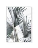 Tropical Palm II | Framed Canvas-CANVAS-You can shop wall art online with Olive et Oriel for everything from abstract art to fun kids wall art. Our beautiful modern art prints and canvas art are available from large canvas prints to wall art paintings and our proudly Australian artwork collection offers only the highest quality framed large wall art and canvas art Australia - You can buy fashion photography prints or Hampton print posters and paintings on canvas from Olive et Oriel and have them
