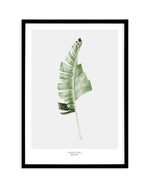 Banana Leaf I Art Print-PRINT-Olive et Oriel-Olive et Oriel-A5 | 5.8" x 8.3" | 14.8 x 21cm-Black-With White Border-Buy-Australian-Art-Prints-Online-with-Olive-et-Oriel-Your-Artwork-Specialists-Austrailia-Decorate-With-Coastal-Photo-Wall-Art-Prints-From-Our-Beach-House-Artwork-Collection-Fine-Poster-and-Framed-Artwork