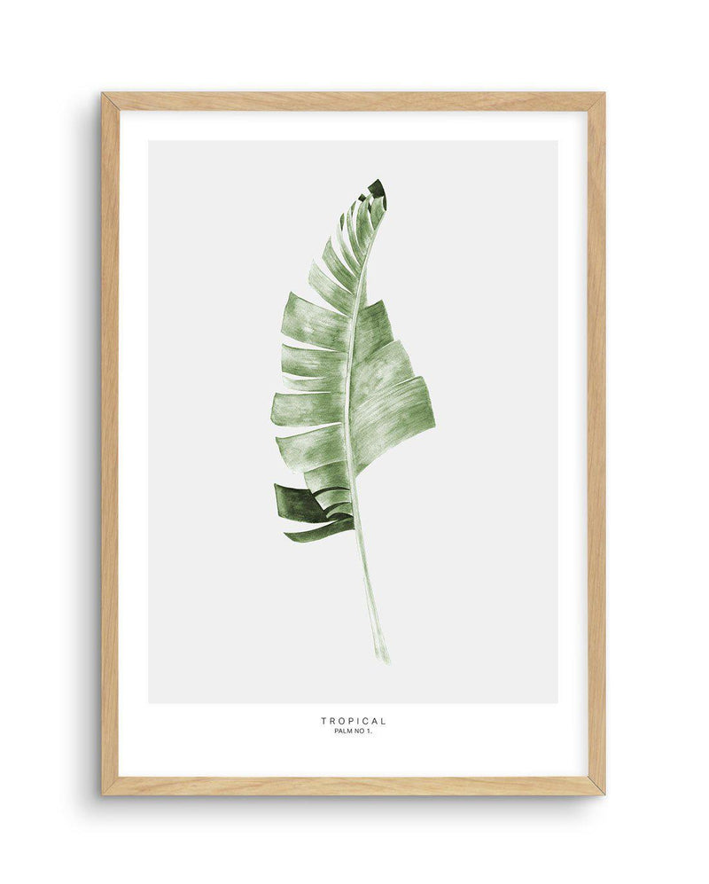 Banana Leaf I Art Print-PRINT-Olive et Oriel-Olive et Oriel-A5 | 5.8" x 8.3" | 14.8 x 21cm-Oak-With White Border-Buy-Australian-Art-Prints-Online-with-Olive-et-Oriel-Your-Artwork-Specialists-Austrailia-Decorate-With-Coastal-Photo-Wall-Art-Prints-From-Our-Beach-House-Artwork-Collection-Fine-Poster-and-Framed-Artwork