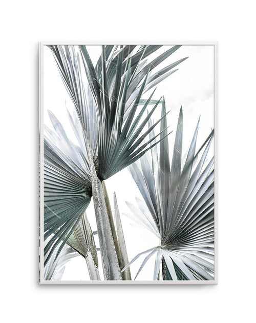 Tropical Palm II Art Print-PRINT-Olive et Oriel-Olive et Oriel-A4 | 8.3" x 11.7" | 21 x 29.7cm-Unframed Art Print-With White Border-Buy-Australian-Art-Prints-Online-with-Olive-et-Oriel-Your-Artwork-Specialists-Austrailia-Decorate-With-Coastal-Photo-Wall-Art-Prints-From-Our-Beach-House-Artwork-Collection-Fine-Poster-and-Framed-Artwork