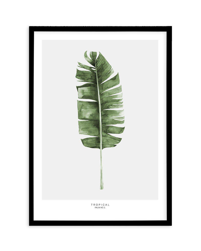 Banana Leaf II Art Print-PRINT-Olive et Oriel-Olive et Oriel-A5 | 5.8" x 8.3" | 14.8 x 21cm-Black-With White Border-Buy-Australian-Art-Prints-Online-with-Olive-et-Oriel-Your-Artwork-Specialists-Austrailia-Decorate-With-Coastal-Photo-Wall-Art-Prints-From-Our-Beach-House-Artwork-Collection-Fine-Poster-and-Framed-Artwork