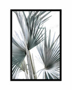 Tropical Palm II Art Print-PRINT-Olive et Oriel-Olive et Oriel-A4 | 8.3" x 11.7" | 21 x 29.7cm-Black-With White Border-Buy-Australian-Art-Prints-Online-with-Olive-et-Oriel-Your-Artwork-Specialists-Austrailia-Decorate-With-Coastal-Photo-Wall-Art-Prints-From-Our-Beach-House-Artwork-Collection-Fine-Poster-and-Framed-Artwork