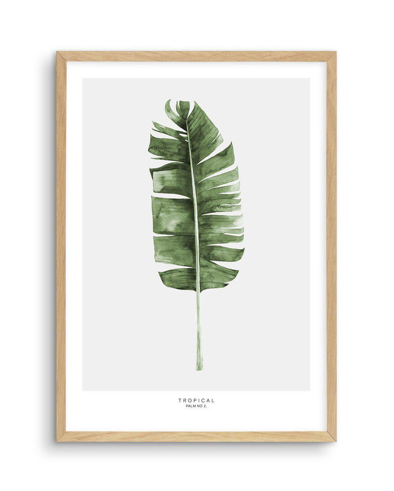 Banana Leaf II Art Print-PRINT-Olive et Oriel-Olive et Oriel-A5 | 5.8" x 8.3" | 14.8 x 21cm-Oak-With White Border-Buy-Australian-Art-Prints-Online-with-Olive-et-Oriel-Your-Artwork-Specialists-Austrailia-Decorate-With-Coastal-Photo-Wall-Art-Prints-From-Our-Beach-House-Artwork-Collection-Fine-Poster-and-Framed-Artwork