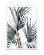 Tropical Palm II Art Print-PRINT-Olive et Oriel-Olive et Oriel-A4 | 8.3" x 11.7" | 21 x 29.7cm-White-With White Border-Buy-Australian-Art-Prints-Online-with-Olive-et-Oriel-Your-Artwork-Specialists-Austrailia-Decorate-With-Coastal-Photo-Wall-Art-Prints-From-Our-Beach-House-Artwork-Collection-Fine-Poster-and-Framed-Artwork