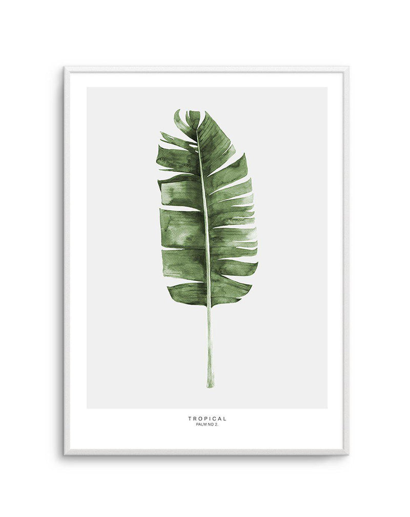 Banana Leaf II Art Print-PRINT-Olive et Oriel-Olive et Oriel-A5 | 5.8" x 8.3" | 14.8 x 21cm-Unframed Art Print-With White Border-Buy-Australian-Art-Prints-Online-with-Olive-et-Oriel-Your-Artwork-Specialists-Austrailia-Decorate-With-Coastal-Photo-Wall-Art-Prints-From-Our-Beach-House-Artwork-Collection-Fine-Poster-and-Framed-Artwork