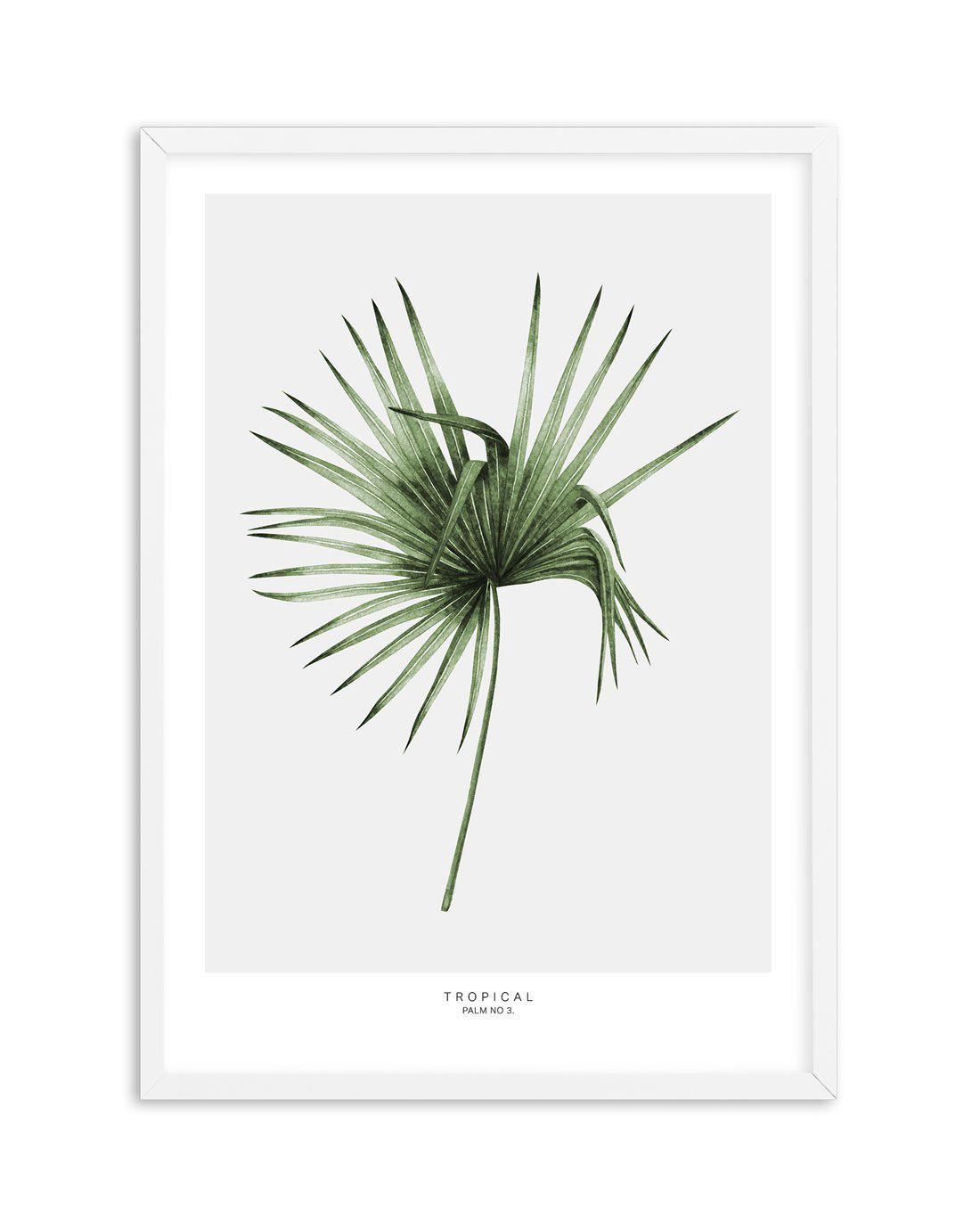 Fan Palm III Art Print-PRINT-Olive et Oriel-Olive et Oriel-A5 | 5.8" x 8.3" | 14.8 x 21cm-White-With White Border-Buy-Australian-Art-Prints-Online-with-Olive-et-Oriel-Your-Artwork-Specialists-Austrailia-Decorate-With-Coastal-Photo-Wall-Art-Prints-From-Our-Beach-House-Artwork-Collection-Fine-Poster-and-Framed-Artwork