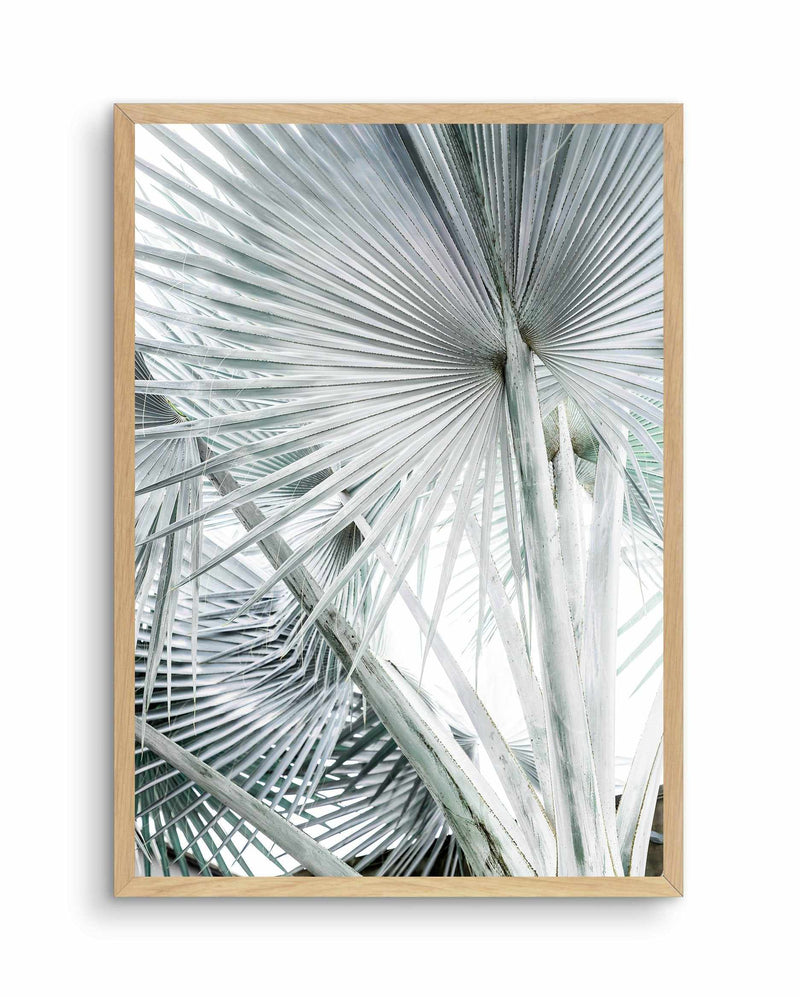 Tropical Palm III Art Print-PRINT-Olive et Oriel-Olive et Oriel-A4 | 8.3" x 11.7" | 21 x 29.7cm-Oak-With White Border-Buy-Australian-Art-Prints-Online-with-Olive-et-Oriel-Your-Artwork-Specialists-Austrailia-Decorate-With-Coastal-Photo-Wall-Art-Prints-From-Our-Beach-House-Artwork-Collection-Fine-Poster-and-Framed-Artwork