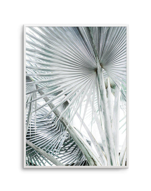 Tropical Palm III Art Print-PRINT-Olive et Oriel-Olive et Oriel-A4 | 8.3" x 11.7" | 21 x 29.7cm-Unframed Art Print-With White Border-Buy-Australian-Art-Prints-Online-with-Olive-et-Oriel-Your-Artwork-Specialists-Austrailia-Decorate-With-Coastal-Photo-Wall-Art-Prints-From-Our-Beach-House-Artwork-Collection-Fine-Poster-and-Framed-Artwork