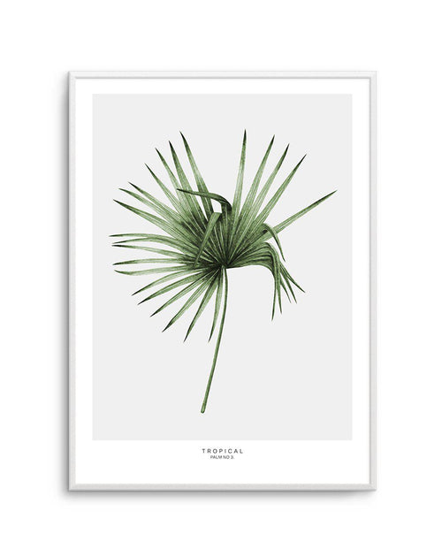 Fan Palm III Art Print-PRINT-Olive et Oriel-Olive et Oriel-A5 | 5.8" x 8.3" | 14.8 x 21cm-Unframed Art Print-With White Border-Buy-Australian-Art-Prints-Online-with-Olive-et-Oriel-Your-Artwork-Specialists-Austrailia-Decorate-With-Coastal-Photo-Wall-Art-Prints-From-Our-Beach-House-Artwork-Collection-Fine-Poster-and-Framed-Artwork