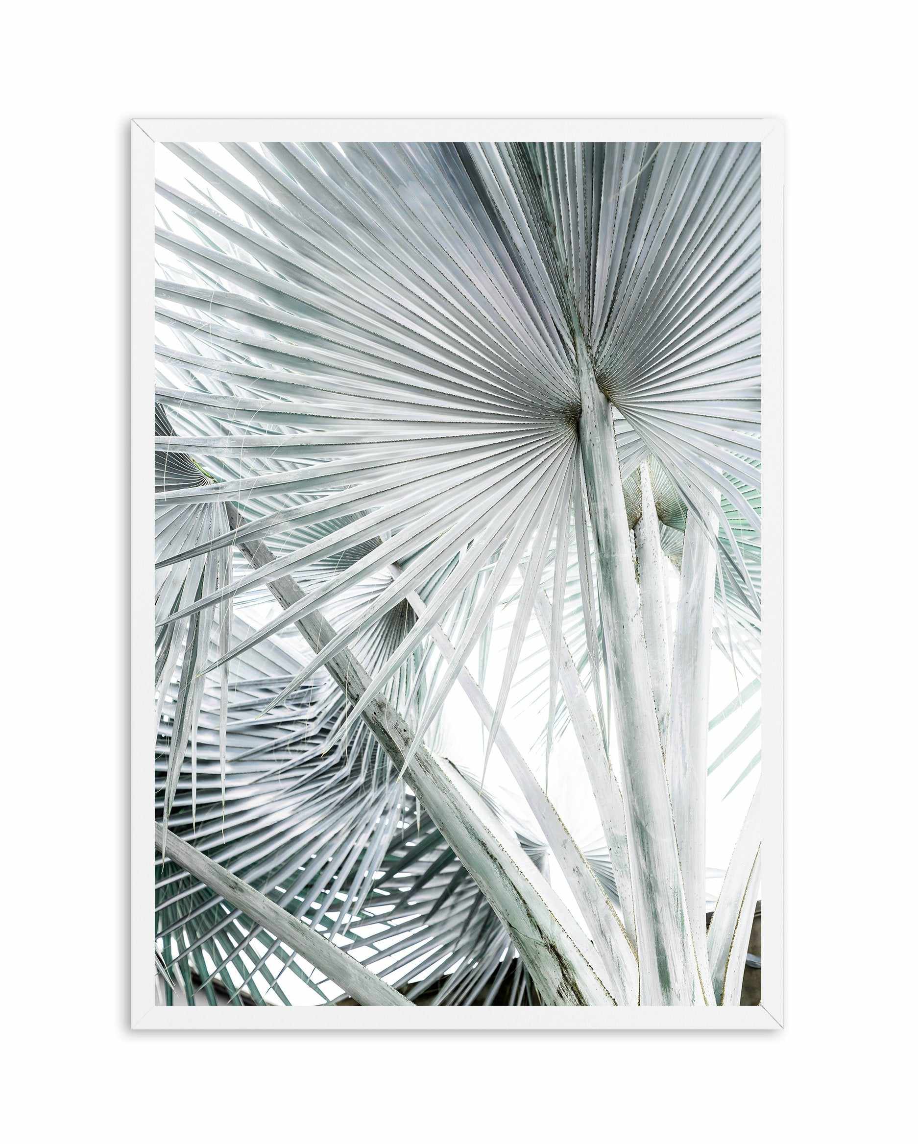 Tropical Palm III Art Print-PRINT-Olive et Oriel-Olive et Oriel-A4 | 8.3" x 11.7" | 21 x 29.7cm-White-With White Border-Buy-Australian-Art-Prints-Online-with-Olive-et-Oriel-Your-Artwork-Specialists-Austrailia-Decorate-With-Coastal-Photo-Wall-Art-Prints-From-Our-Beach-House-Artwork-Collection-Fine-Poster-and-Framed-Artwork