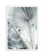 Tropical Palm III Art Print-PRINT-Olive et Oriel-Olive et Oriel-A4 | 8.3" x 11.7" | 21 x 29.7cm-White-With White Border-Buy-Australian-Art-Prints-Online-with-Olive-et-Oriel-Your-Artwork-Specialists-Austrailia-Decorate-With-Coastal-Photo-Wall-Art-Prints-From-Our-Beach-House-Artwork-Collection-Fine-Poster-and-Framed-Artwork