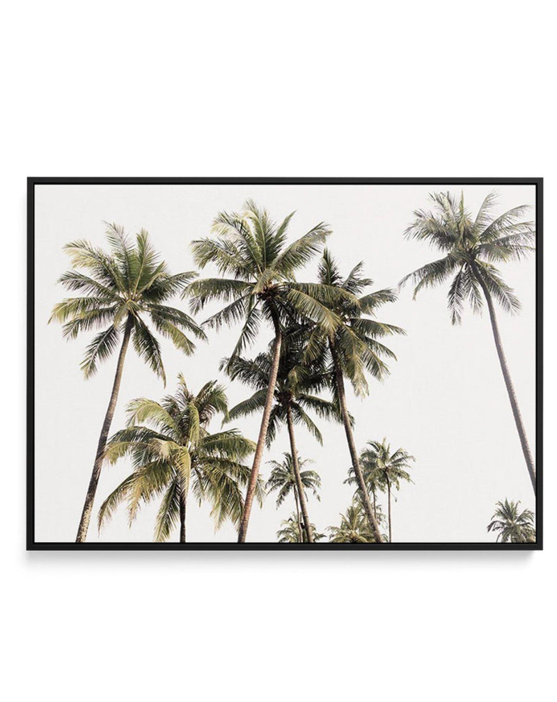 Tropical Palm Trees LS | Framed Canvas-CANVAS-You can shop wall art online with Olive et Oriel for everything from abstract art to fun kids wall art. Our beautiful modern art prints and canvas art are available from large canvas prints to wall art paintings and our proudly Australian artwork collection offers only the highest quality framed large wall art and canvas art Australia - You can buy fashion photography prints or Hampton print posters and paintings on canvas from Olive et Oriel and hav