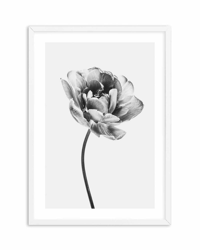 Tulip en Noir Art Print-PRINT-Olive et Oriel-Olive et Oriel-A5 | 5.8" x 8.3" | 14.8 x 21cm-White-With White Border-Buy-Australian-Art-Prints-Online-with-Olive-et-Oriel-Your-Artwork-Specialists-Austrailia-Decorate-With-Coastal-Photo-Wall-Art-Prints-From-Our-Beach-House-Artwork-Collection-Fine-Poster-and-Framed-Artwork