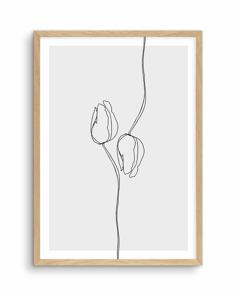 Tulip I | Illustration Art Print-PRINT-Olive et Oriel-Olive et Oriel-A5 | 5.8" x 8.3" | 14.8 x 21cm-Oak-With White Border-Buy-Australian-Art-Prints-Online-with-Olive-et-Oriel-Your-Artwork-Specialists-Austrailia-Decorate-With-Coastal-Photo-Wall-Art-Prints-From-Our-Beach-House-Artwork-Collection-Fine-Poster-and-Framed-Artwork