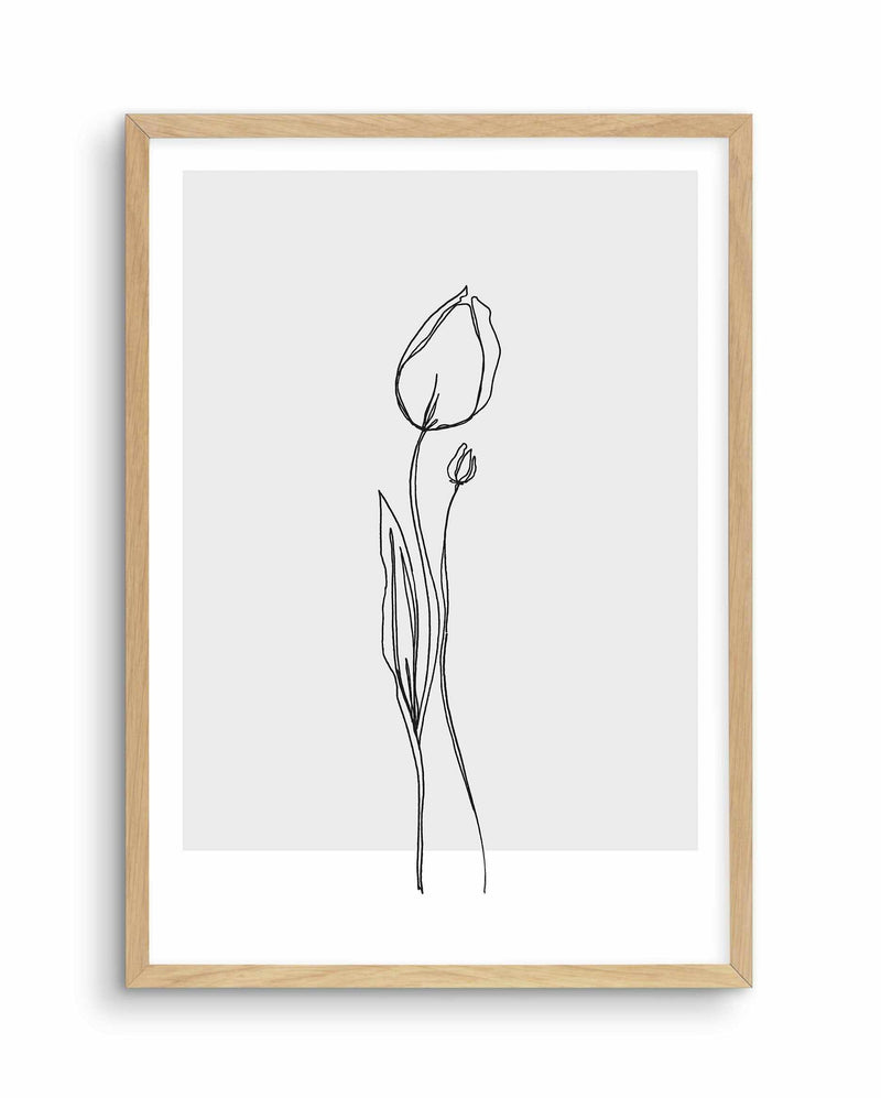 Tulip II | Illustration Art Print-PRINT-Olive et Oriel-Olive et Oriel-A5 | 5.8" x 8.3" | 14.8 x 21cm-Oak-With White Border-Buy-Australian-Art-Prints-Online-with-Olive-et-Oriel-Your-Artwork-Specialists-Austrailia-Decorate-With-Coastal-Photo-Wall-Art-Prints-From-Our-Beach-House-Artwork-Collection-Fine-Poster-and-Framed-Artwork